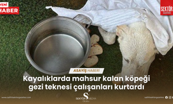 Kayalıklarda mahsur kalan köpeği gezi teknesi çalışanları kurtardı