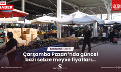 Çarşamba Pazarı’nda güncel bazı sebze meyve fiyatları…