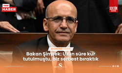 Bakan Şimşek: Uzun süre kur tutulmuştu, biz serbest bıraktık