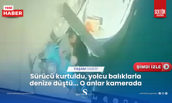 Sürücü kurtuldu, yolcu balıklarla denize düştü... O anlar kamerada