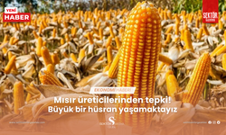 Mısır üreticilerinden tepki! Büyük bir hüsran yaşamaktayız