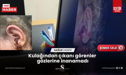 Kulağından çıkanı görenler  gözlerine inanamadı