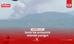 İzmir'de ormanlık alanda yangın