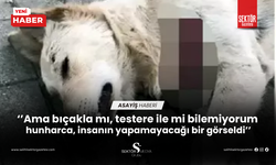 Kan donduran vahşet! Kedi ve köpek öldürüldü...