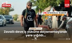 Kapadokya'da iş yüküne dayanamayan deve bayıldı