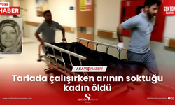 Tarlada çalışırken arının soktuğu kadın öldü