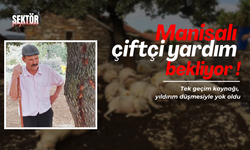 Manisalı çiftçi yardım bekliyor !