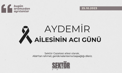 Aydemir ailesinin acı günü