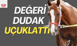 Satılan tayın fiyatı dudak uçuklattı