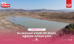 Su seviyesi yüzde 80 düştü, ağaçlar ortaya çıktı