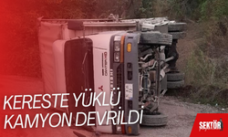 Kereste yüklü kamyon devrildi