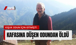 Kafasına düşen odundan öldü