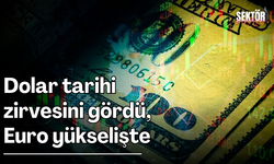 Dolar tarihi zirvesini gördü, Euro yükselişte