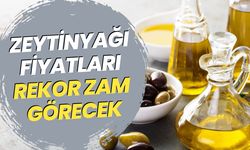 Zeytinyağı fiyatları rekor zam görecek