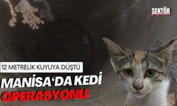 Kuyuya düşen kedi için seferber oldular