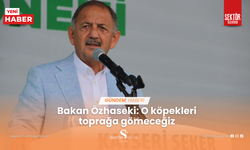 Bakan Özhaseki: O köpekleri toprağa gömeceğiz