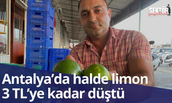 Antalya’da halde limon 3 TL’ye kadar düştü