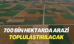 700 bin hektarda arazi toplulaştırılacak