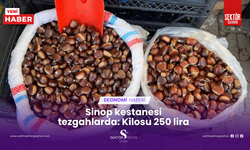 Sinop kestanesi tezgahlarda: Kilosu 250 lira