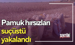 Pamuk hırsızları suçüstü yakalandı