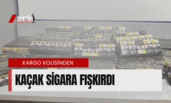 Kargo kolisinden kaçak sigara fışkırdı