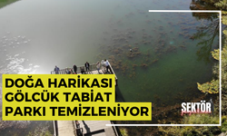 Doğa harikası Gölcük Tabiat Parkı temizleniyor