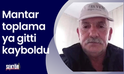 Mantar toplamaya gitti kayboldu