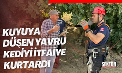 Kuyuya düşen yavru kediyi itfaiye kurtardı