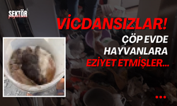 Vicdansızlar!  Çöp evde hayvanlara eziyet etmişler…