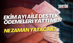 Ekim ayı Aile Destek ödemeleri yattı mı, ne zaman yatacak?