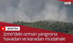 İzmir’deki orman yangınına havadan ve karadan müdahale