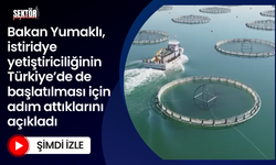 Bakan Yumaklı, istiridye yetiştiriciliğinin Türkiye’de de başlatılması için adım attıklarını açıkladı