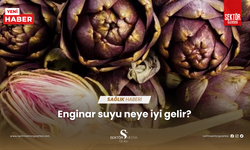 Enginar suyu neye iyi gelir?