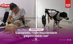 Canseven, ‘Tüm hayvanların yaşam hakkı var’