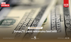 Dolar/TL yeni rekorunu test etti