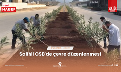 Salihli OSB’de çevre düzenlenmesi