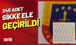 245 adet sikke ele geçirildi