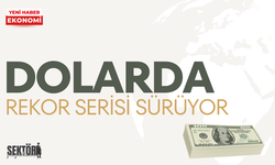 Dolarda rekor serisi sürüyor