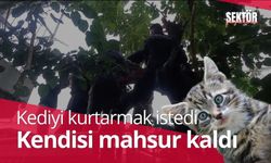 Ağaçta kalan kediyi kurtarmak isterken kendi mahsur kaldı