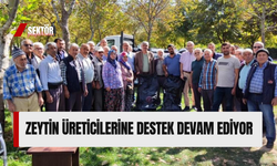 Zeytin üreticilerine destek devam ediyor