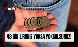 43 bin liranız yoksa yoksulsunuz!