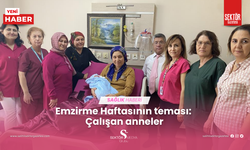 Emzirme Haftasının teması: Çalışan anneler