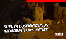 Kuyuya düşen kuzunun imdadına itfaiye yetişti