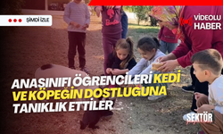 Anasınıfı öğrencileri kedi ve köpeğin dostluğuna tanıklık ettiler