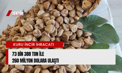 Kuru incir ihracatı 73 bin 388 ton ile 260 milyon dolara ulaştı