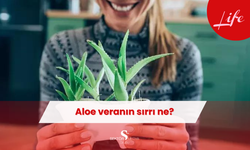 Kozmetikten sağlığa her yerde var! Nedir bu aloe veranın sırrı?