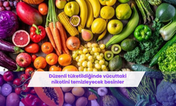 Düzenli tüketildiğinde vücuttaki nikotini temizleyecek besinler