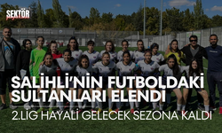 2.Lig hayali gelecek sezona kaldı