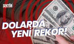 Dolar/TL rekor tazeledi!