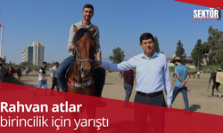 Rahvan atlar birincilik için yarıştı